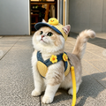 Pet Harness and Leash Sets with Hat Options