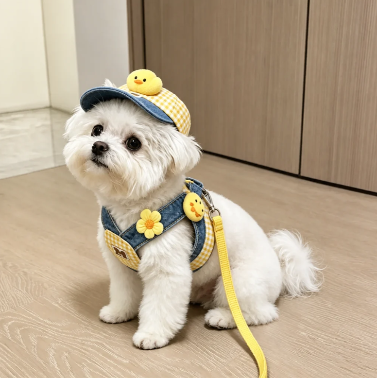 Pet Harness and Leash Sets with Hat Options