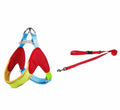 Y-Front Polyester Dog Harness with Matching Leash for Small Dogs