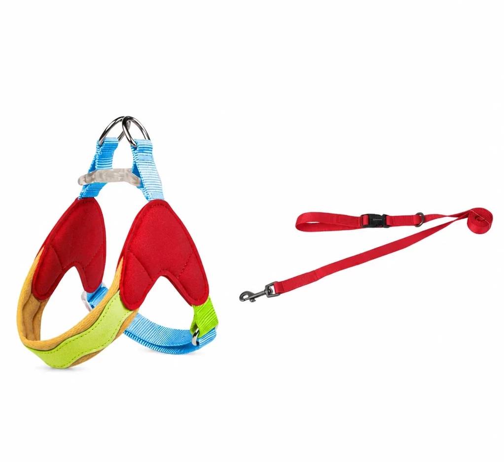 Y-Front Polyester Dog Harness with Matching Leash for Small Dogs